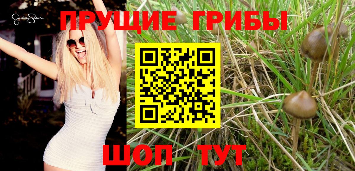 ГАШИШ Вятские Поляны