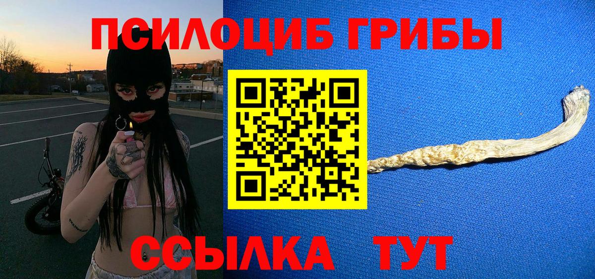 Галлюциногенные грибы Psilocybe Вятские Поляны